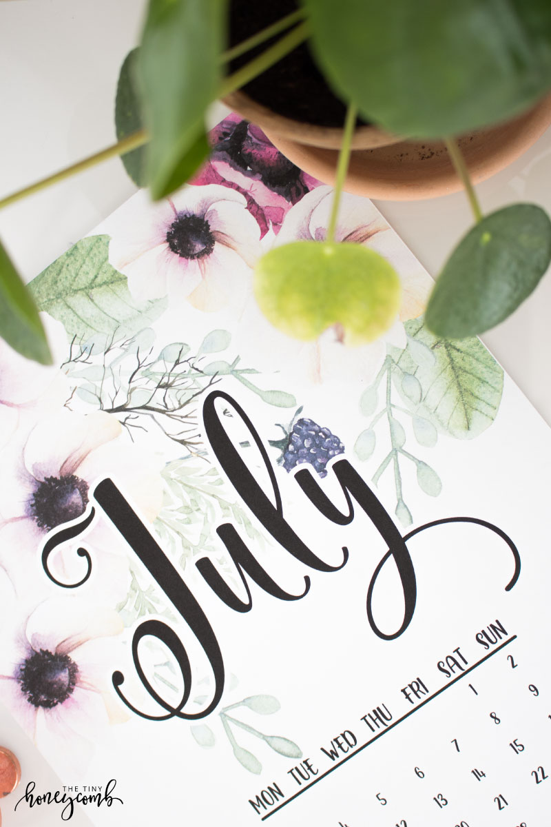 Free July Printable Calendar The Tiny Honeycomb
