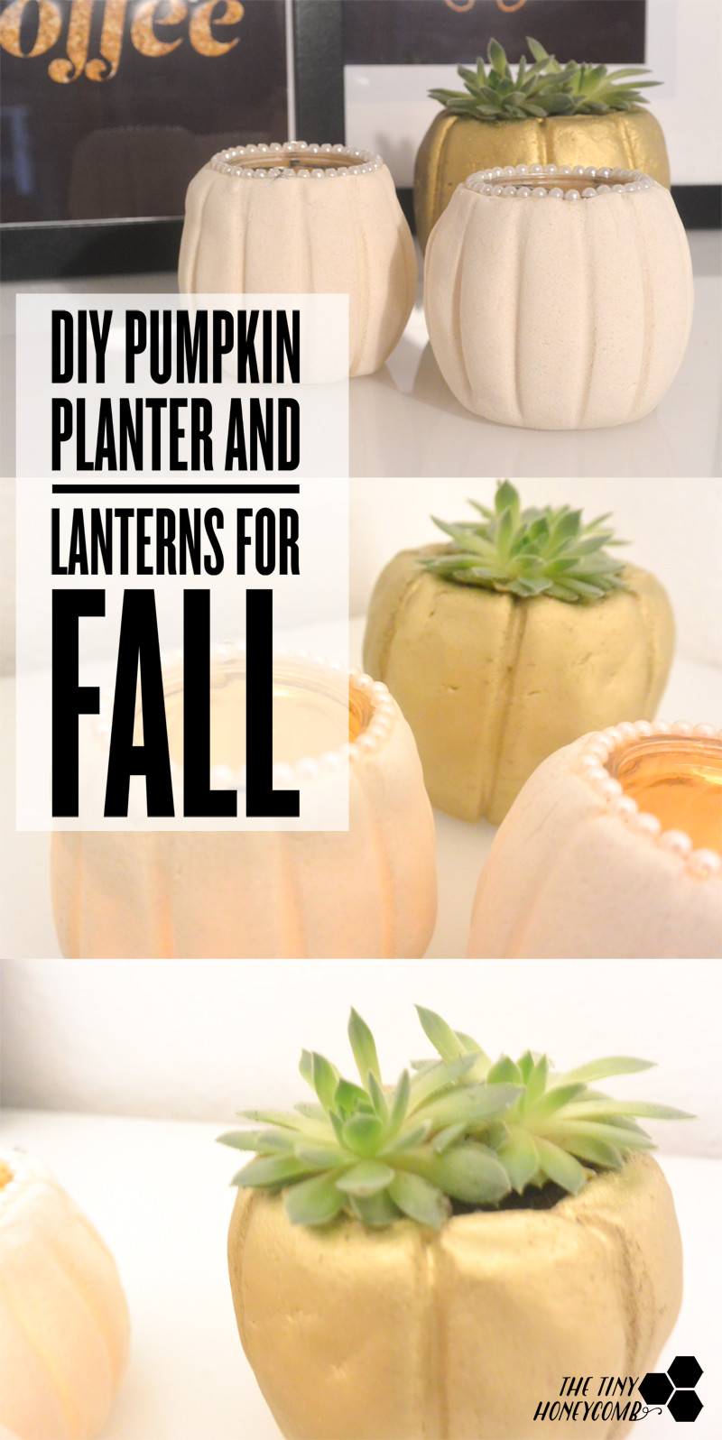 DIY pumpkin planter and lanterns for fall. The tiny honeycomb blog