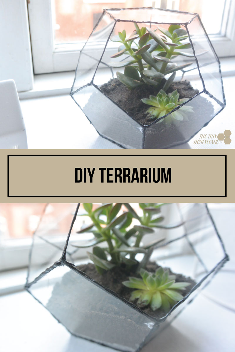 DIY terrarium. Geometric terrarium with a step by step guide video. The tiny honeycomb blog